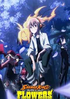 2024年日本动漫《通灵王 FLOWRS》全13集 4K网盘迅雷下载