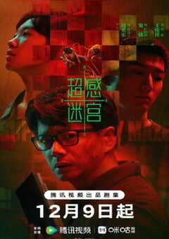 2025年国产大陆电视剧《超感迷宫》全20集 4K网盘迅雷下载