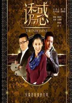 2019年国产大陆电视剧《诱惑》全34集 4K网盘迅雷下载