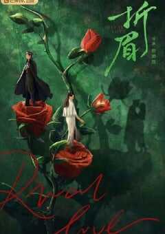 2024年国产大陆电视剧《折眉》全24集 4K网盘迅雷下载