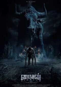 2025年印度传记片《野牛：卡巴迪》HD泰米尔语中字 4K网盘迅雷下载