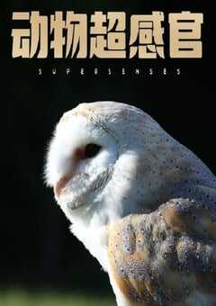 2020年加拿大纪录片《动物超感官》全3集 4K网盘迅雷下载