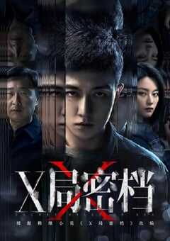 2025年国产大陆电视剧《X局密档》全16集 4K网盘迅雷下载