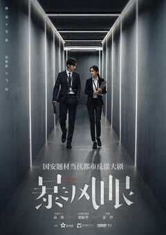 2021年国产大陆电视剧《暴风眼》全40集 4K网盘迅雷下载