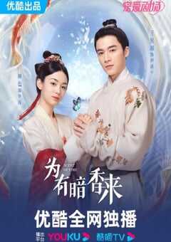 2023年国产大陆电视剧《为有暗香来》全30集 4K网盘迅雷下载