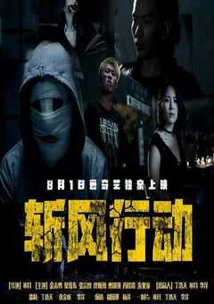 2019年国产犯罪片《斩风行动》HD国语中字 4K网盘迅雷下载