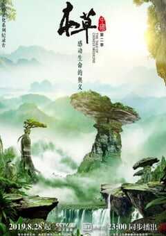 2019年国产大陆纪录片《本草中国 第二季》全12集 4K网盘迅雷下载