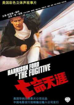 1993年美国经典动作片《亡命天涯》BD国英双语中英双字 4K网盘迅雷下载