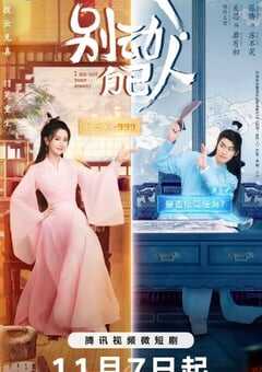 2024年国产大陆电视剧《别动自己人》全20集 4K网盘迅雷下载