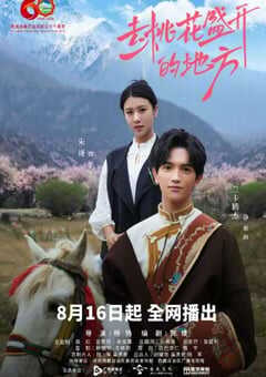 2025年国产大陆电视剧《去桃花盛开的地方》全12集 4K网盘迅雷下载