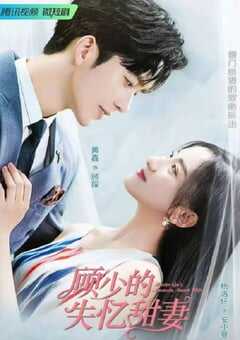 2022年国产大陆电视剧《顾少的失忆甜妻》全18集 4K网盘迅雷下载