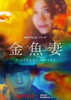 2022年日本电视剧《金鱼妻》全8集 4K网盘迅雷下载