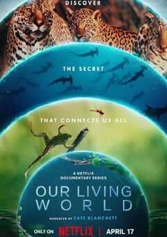 2024年英国纪录片《我们的生物世界》全04集 4K网盘迅雷下载