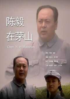 2002年国产经典传记片《陈毅在茅山》HD国语中字 4K网盘迅雷下载