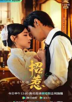 2023年国产大陆电视剧《招惹》全25集 4K网盘迅雷下载