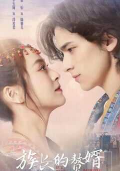 2022年国产大陆电视剧《族长的赘婿》全9集 4K网盘迅雷下载