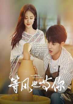 2025年国产大陆电视剧《等风也等你》全22集 4K网盘迅雷下载