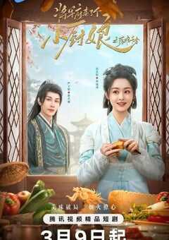2025年国产大陆电视剧《将军府来了个小厨娘之落难千金》全24集 4K网盘迅雷下载