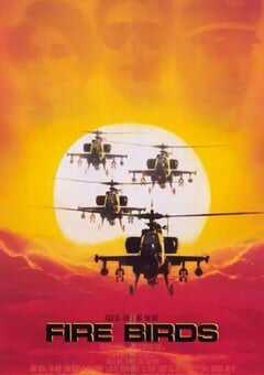 1990年美国经典动作冒险片《火鸟出击》蓝光中英双字 4K网盘迅雷下载