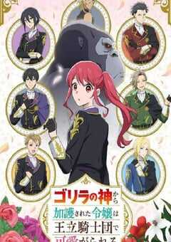 2025年日本动漫《受到猩猩之神庇护的大小姐在皇家骑士团受到宠爱》连载至12 4K网盘迅雷下载
