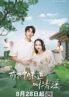 2024年国产大陆电视剧《有种味道叫清溪》全12集 4K网盘迅雷下载