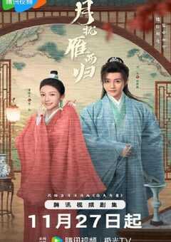 2025年国产大陆电视剧《月拢雁西归》全24集 4K网盘迅雷下载