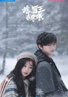 2025年国产大陆电视剧《嘘，国王在冬眠》全23集 4K网盘迅雷下载