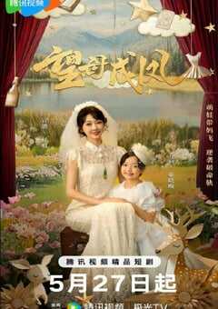 2025年国产大陆电视剧《望母成凤》全24集 4K网盘迅雷下载