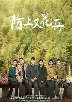 2025年国产大陆电视剧《陌上又花开》全36集 4K网盘迅雷下载