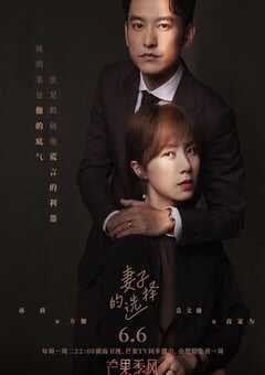 2022年国产大陆电视剧《妻子的选择》全12集 4K网盘迅雷下载