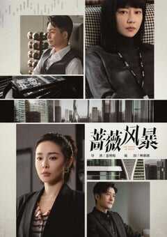 2024年国产大陆电视剧《蔷薇风暴》全40集 4K网盘迅雷下载