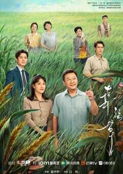 2024年国产大陆电视剧《幸福草》全24集 4K网盘迅雷下载