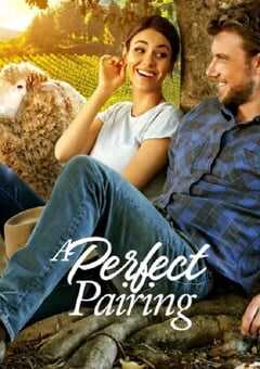 2022年美国6.4分喜剧爱情片《完美绝配》BD中英双字 4K网盘迅雷下载