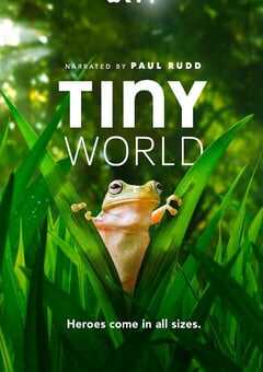 2021年美国纪录片《小小世界 第二季》全6集 4K网盘迅雷下载