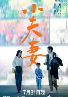 2024年国产大陆电视剧《小夫妻》全36集 4K网盘迅雷下载