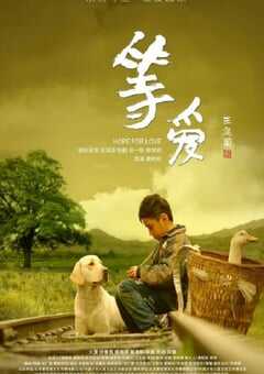 2019年国产剧情片《等爱》HD国语中英双字 4K网盘迅雷下载