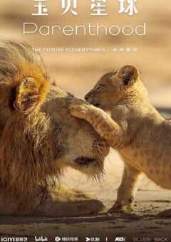 2025年英国纪录片《宝贝星球 中配版》全6集 4K网盘迅雷下载