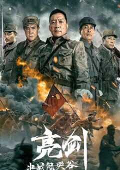 2022年国产动作战争片《亮剑：决战鬼哭谷》HD国语中字 4K网盘迅雷下载