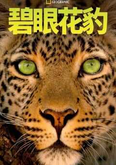 2020年美国纪录片《碧眼花豹》HD英语中字 4K网盘迅雷下载