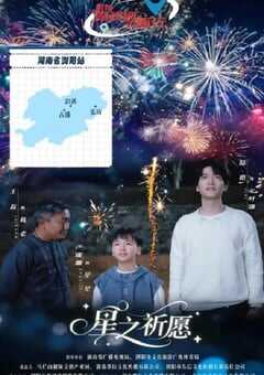 2025年国产大陆电视剧《星之祈愿》全20集 4K网盘迅雷下载