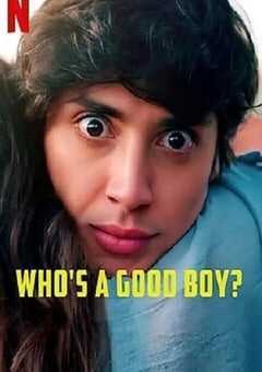 2022年墨西哥喜剧片《谁是好男孩》BD西班牙语中字 4K网盘迅雷下载