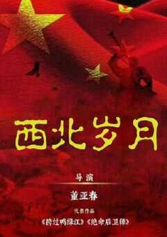 2024年国产大陆电视剧《西北岁月》全39集 4K网盘迅雷下载