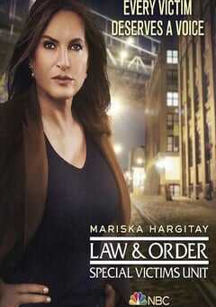 2020年美国电视剧《法律与秩序：特殊受害者 第二十二季》全16集 4K网盘迅雷下载