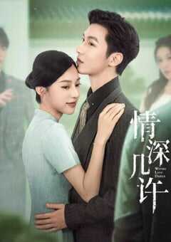 2025年国产大陆电视剧《情深几许》全20集 4K网盘迅雷下载