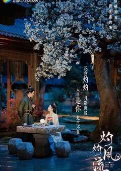 2023年国产大陆电视剧《灼灼风流》全40集 4K网盘迅雷下载