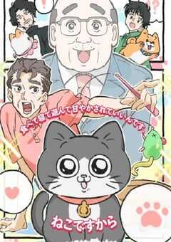 2024年日本动漫《转生成猫的大叔》全48集 4K网盘迅雷下载