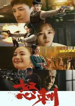 2025年国产大陆电视剧《怒刺》全30集 4K网盘迅雷下载