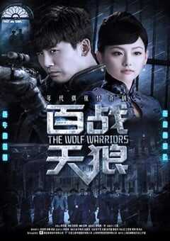 2017年国产大陆电视剧《百战天狼》全39集 4K网盘迅雷下载
