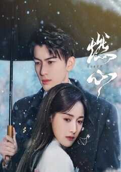 2024年国产大陆电视剧《燃心》全24集 4K网盘迅雷下载