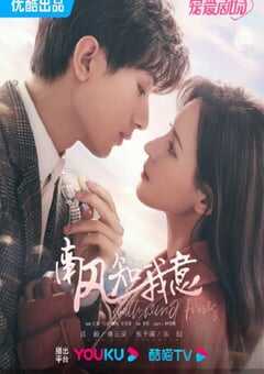 2023年国产大陆电视剧《南风知我意》全39集 4K网盘迅雷下载